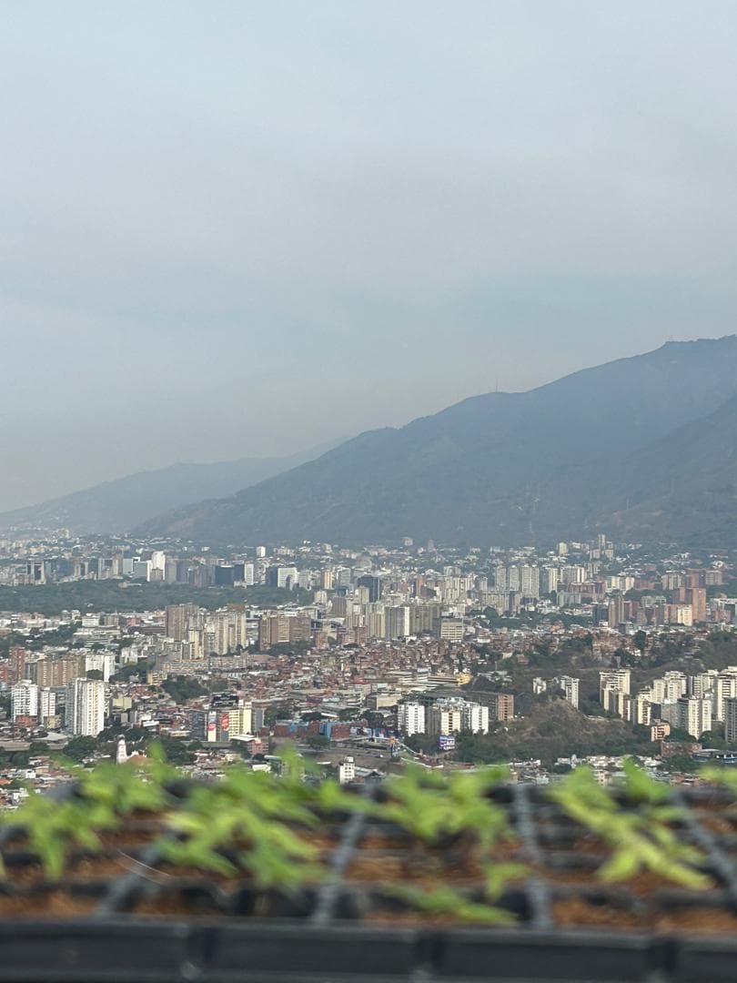 Vista de Caracas desde la terraza con semilleros en primer plano — donde empezó DOSIS