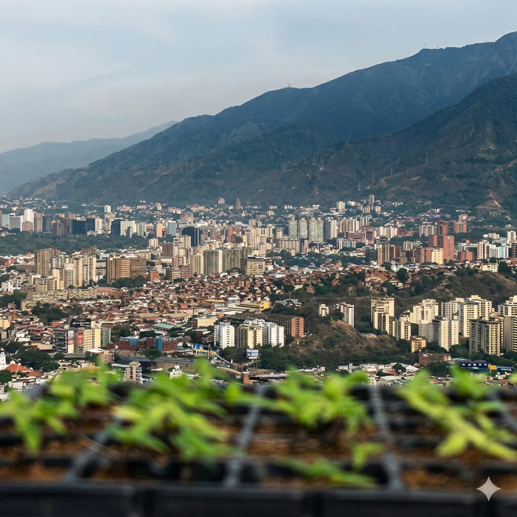 Vista de Caracas — donde nació DOSIS
